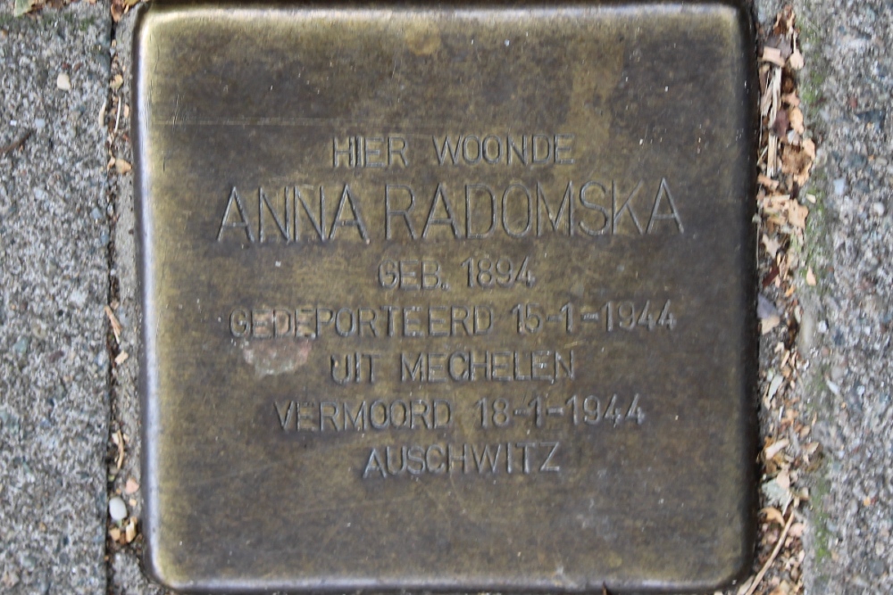 Stolpersteine Henri Polaklaan 18-II #2
