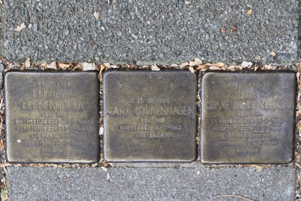 Stolpersteine Henri Polaklaan 18-II #3