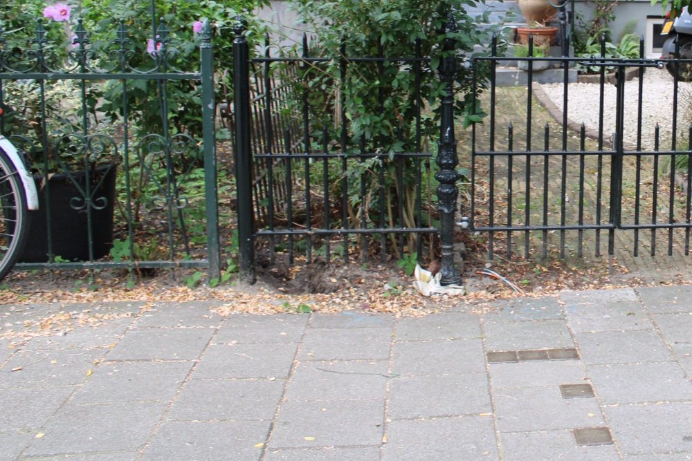 Stolpersteine Henri Polaklaan 18-II #7