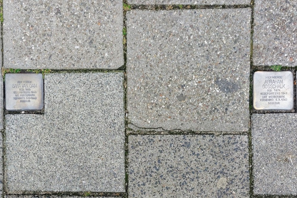Stumbling Stones Claes de Vrieslaan 70 #5