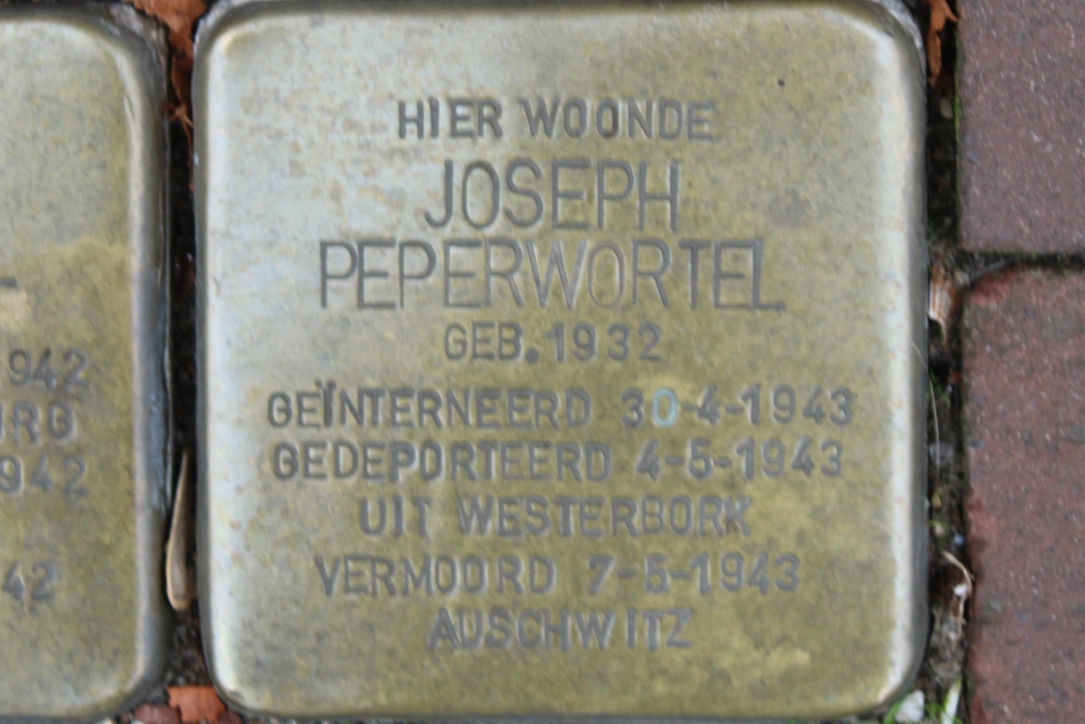Stolpersteine Waterlooplein voormalig 89-I #5