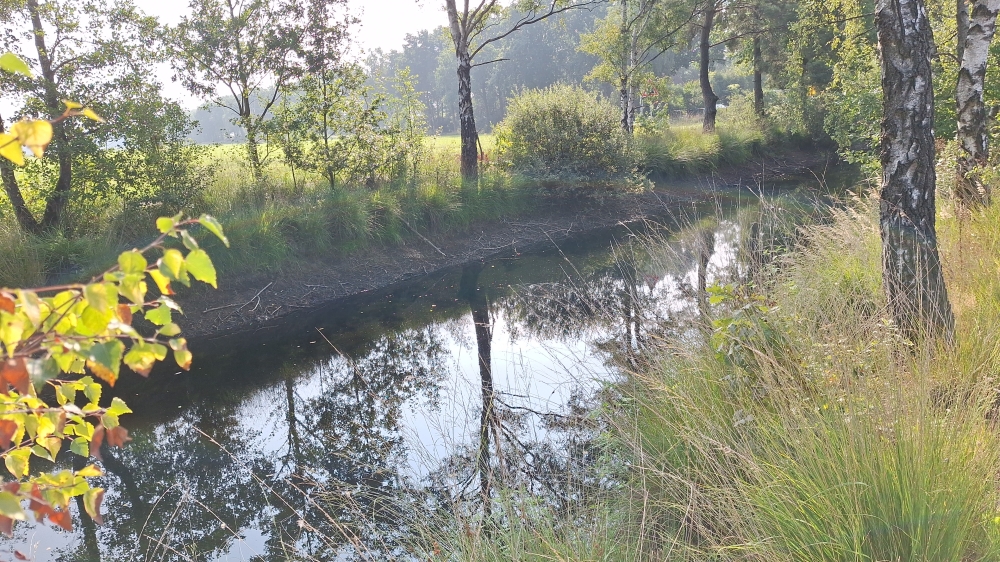 Defensiekanaal Evertsoord