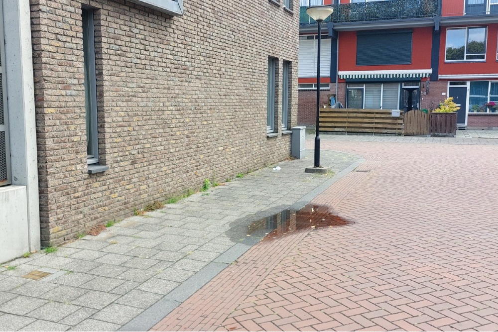 Stumblin Stones Vrankenstraat hoek Marienbornstraat #7