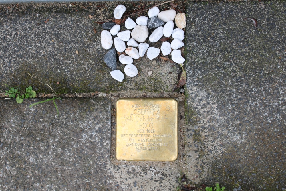 Stolperstein Godelindeweg 42 #1