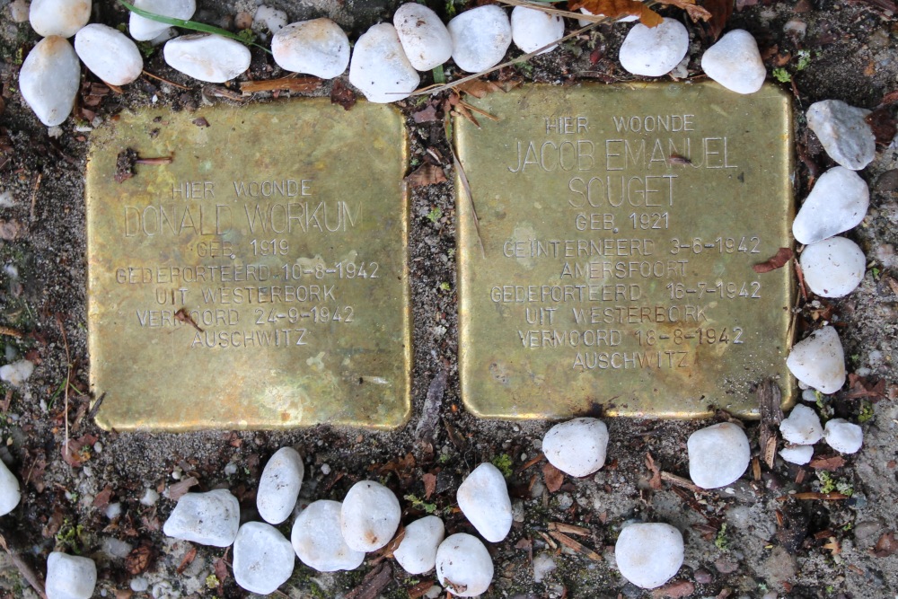 Stumbling Stones Stadhouderslaan 2