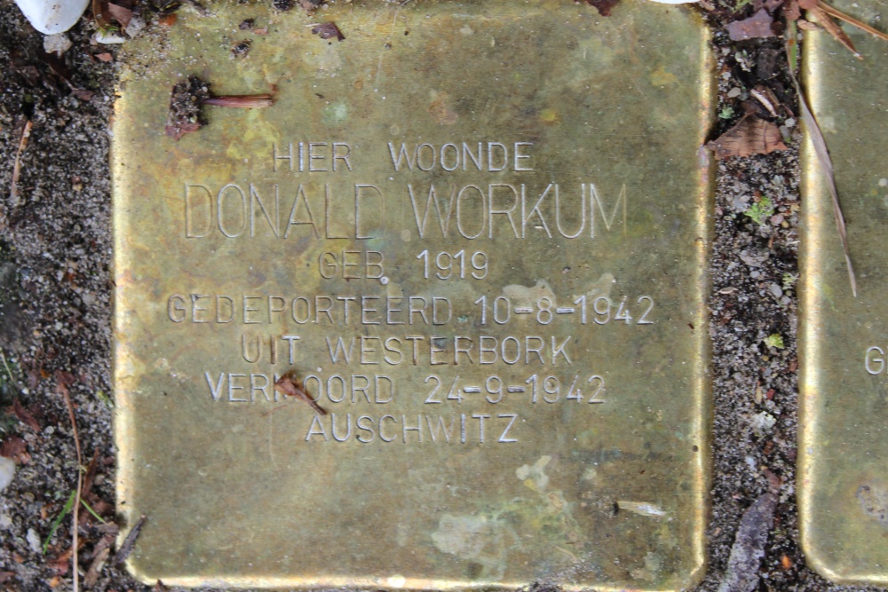 Stolpersteine Stadhouderslaan 2 #2