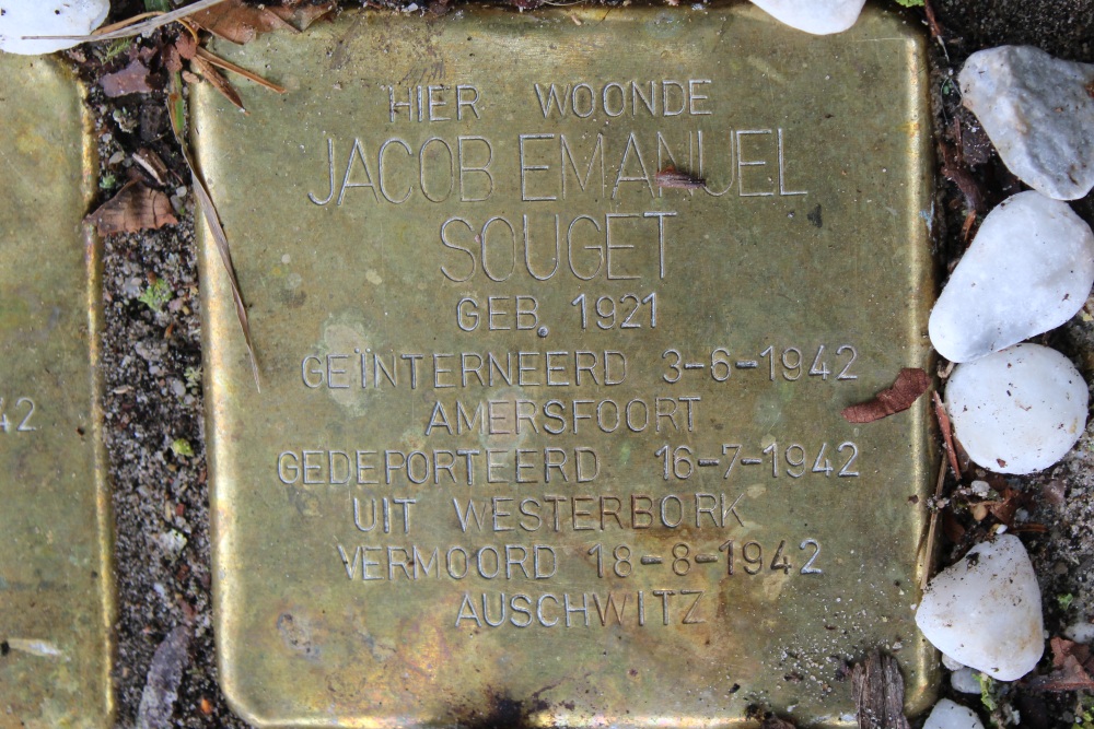Stolpersteine Stadhouderslaan 2 #3