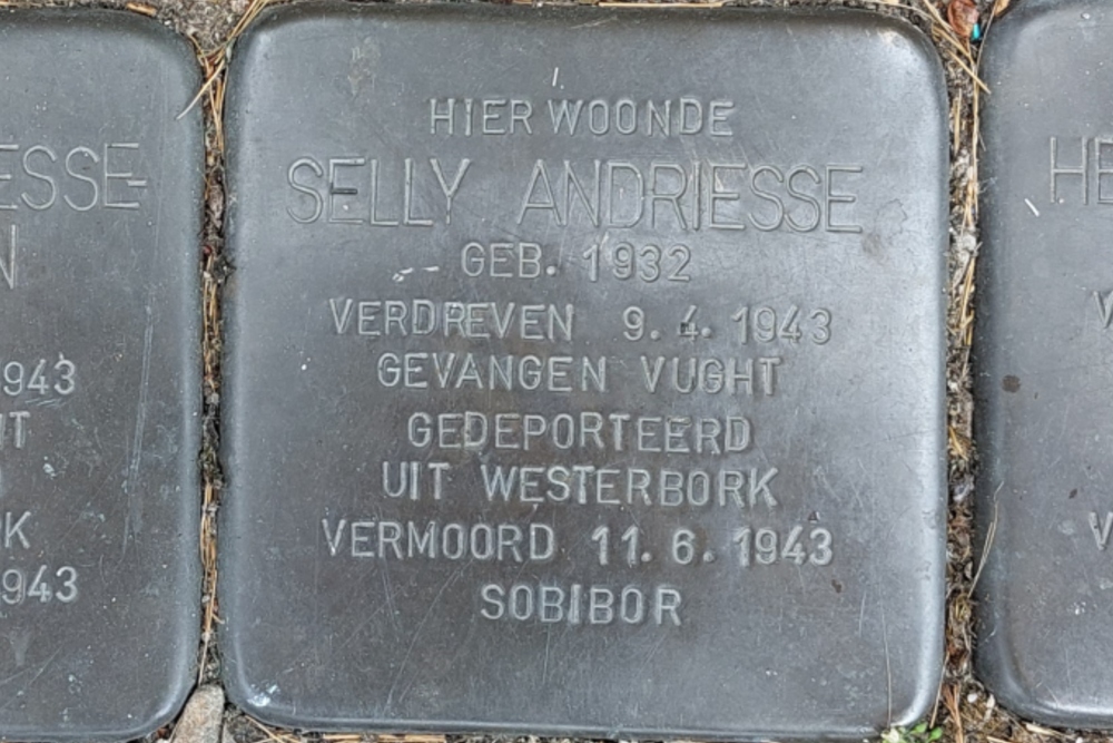 Stolpersteine Markt 15 #5