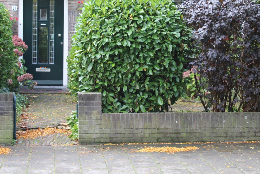 Stolpersteine Stieltjeslaan 20 #7