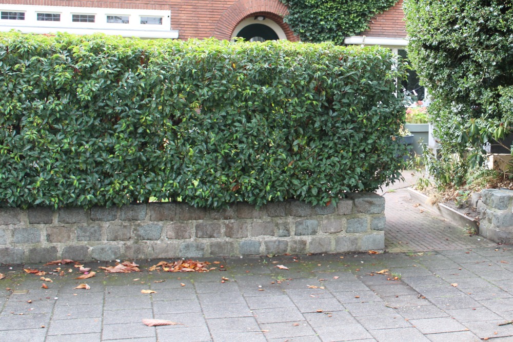 Stolperstein Johannes Geradtsweg 163 #2