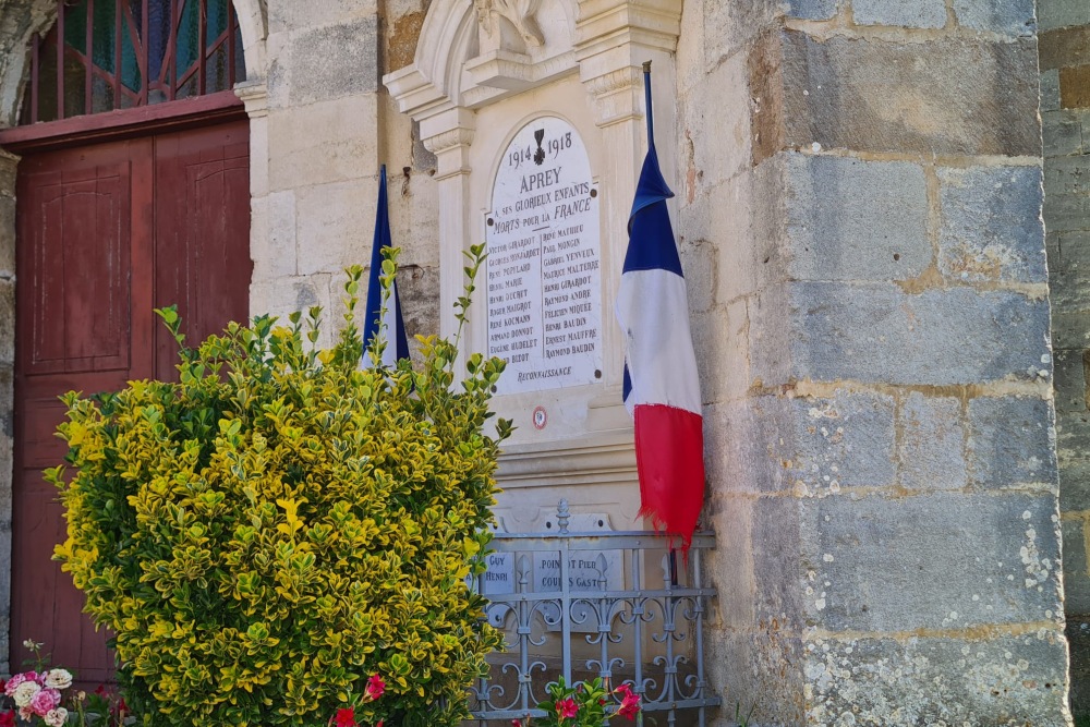 Oorlogsmonument Aprey #2