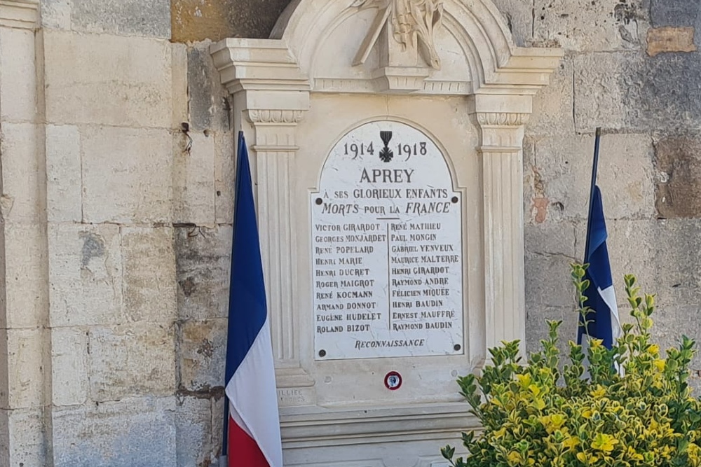 Oorlogsmonument Aprey #4