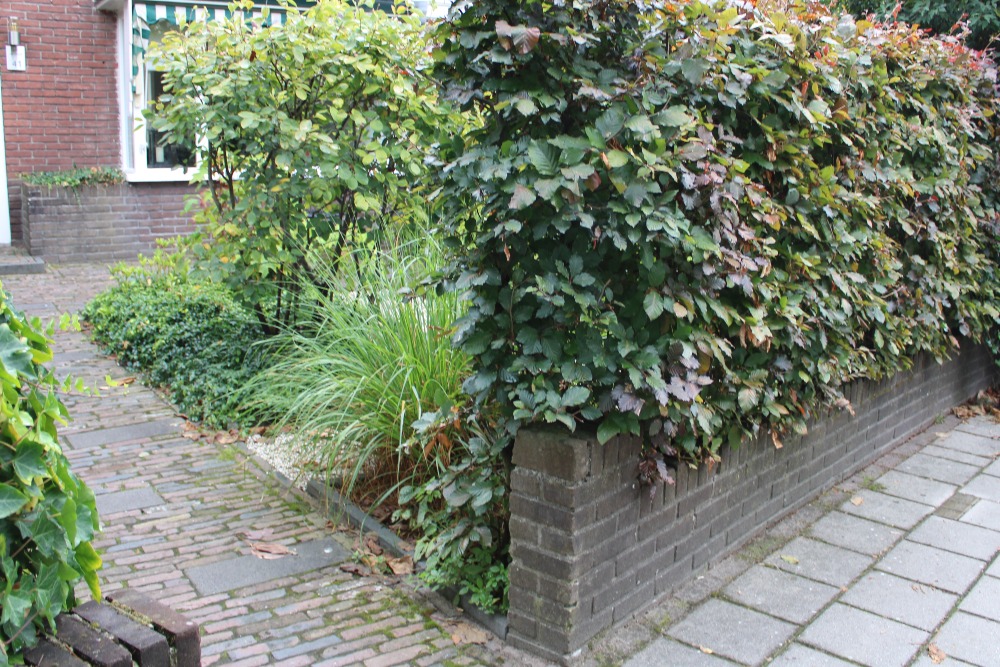 Stumbling Stones Reestraat 41 #5