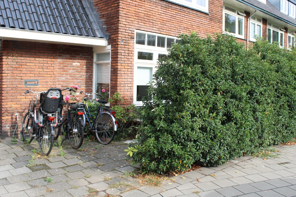 Stolpersteine Loosdrechtseweg 22 #5