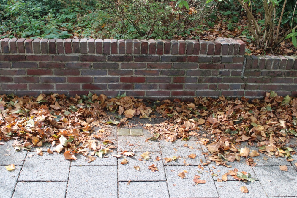 Stolpersteine Vaartweg 149 #4