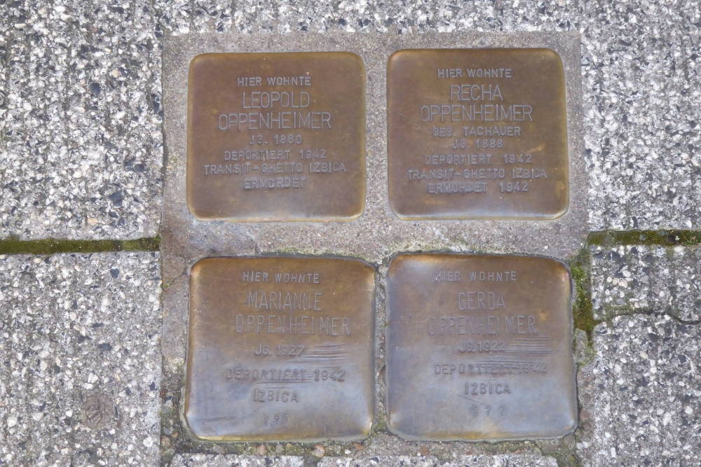 Stumbling Stones Rosenstraße 13