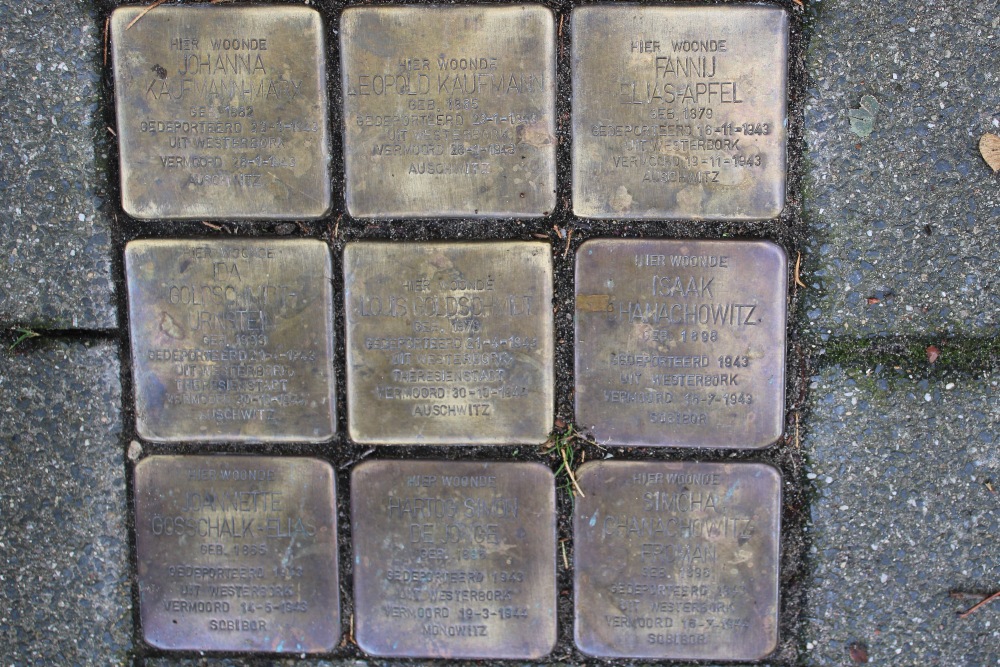Stumbling Stones Burgemeester Schooklaan 12 #1