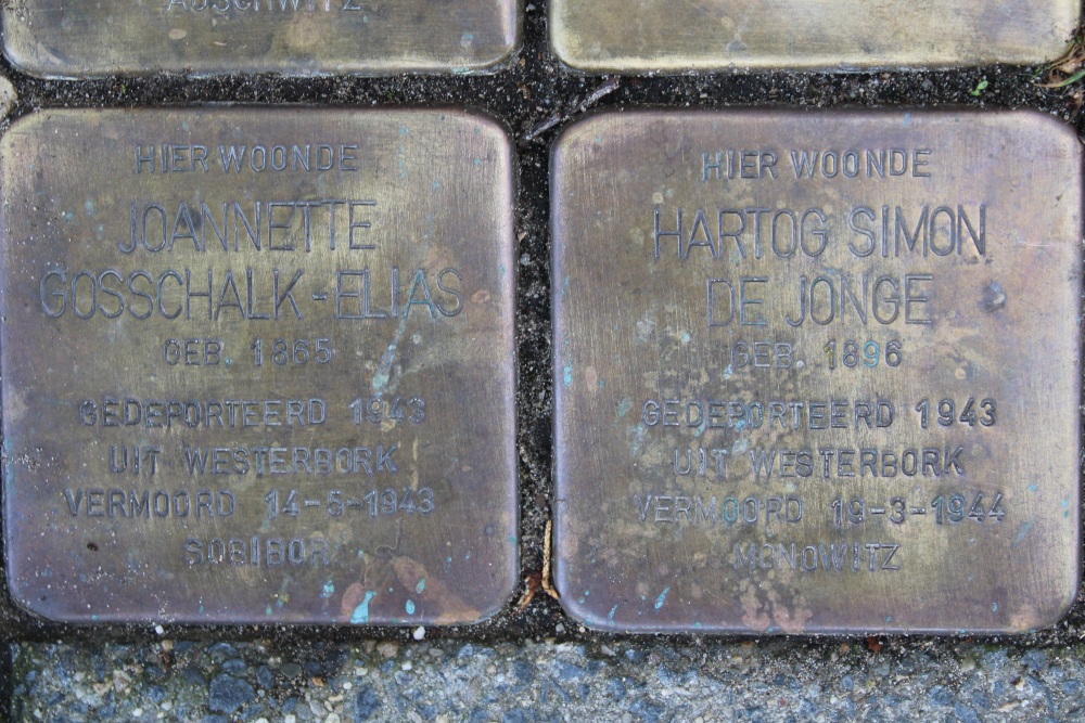 Stumbling Stones Burgemeester Schooklaan 12 #6