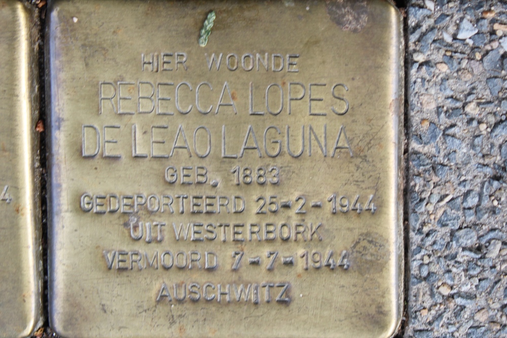 Sstumbling Stones Van Lenneplaan 30 #3