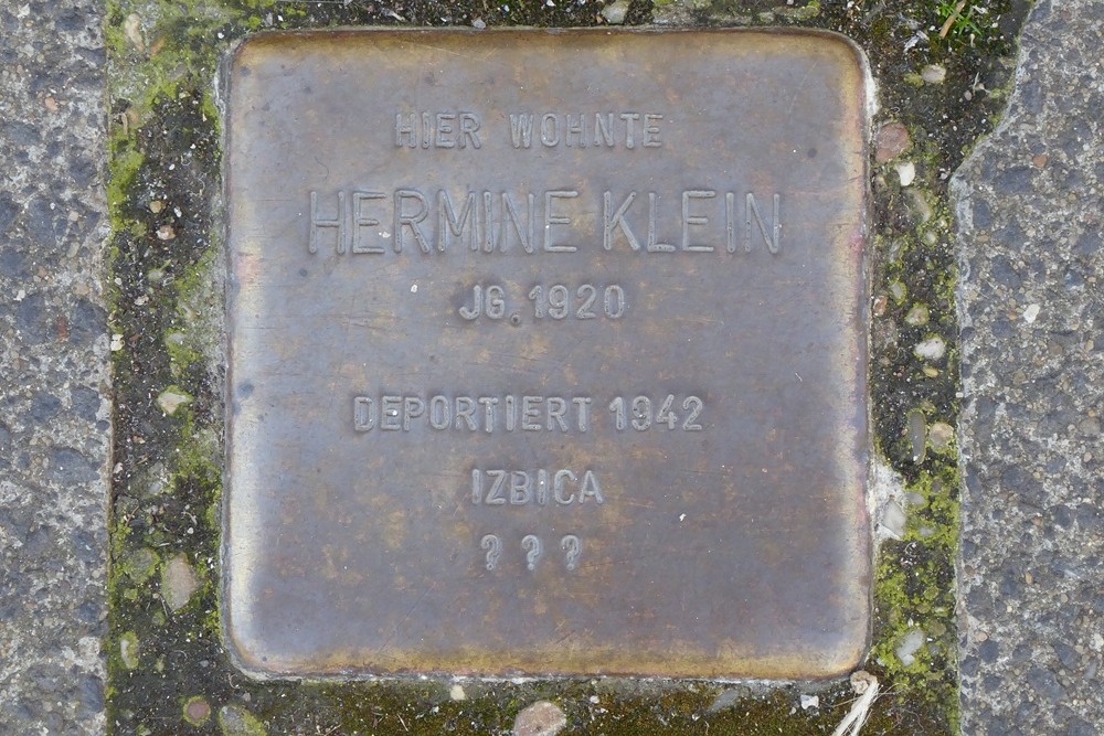 Stumbling Stones Würzburger Straße 5 #5
