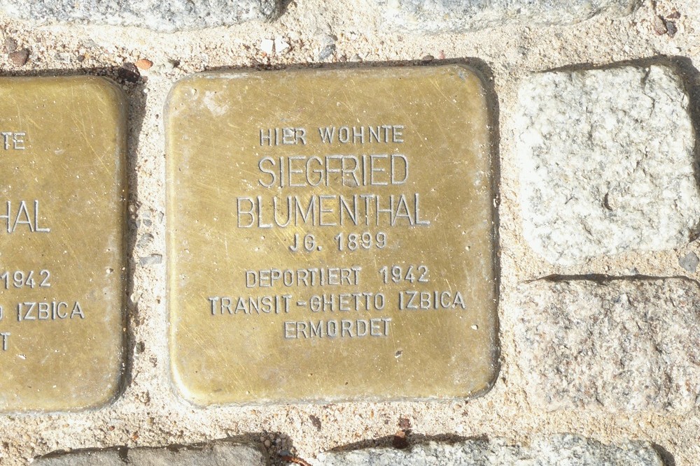 Stolpersteine Brunnengasse 20  #3