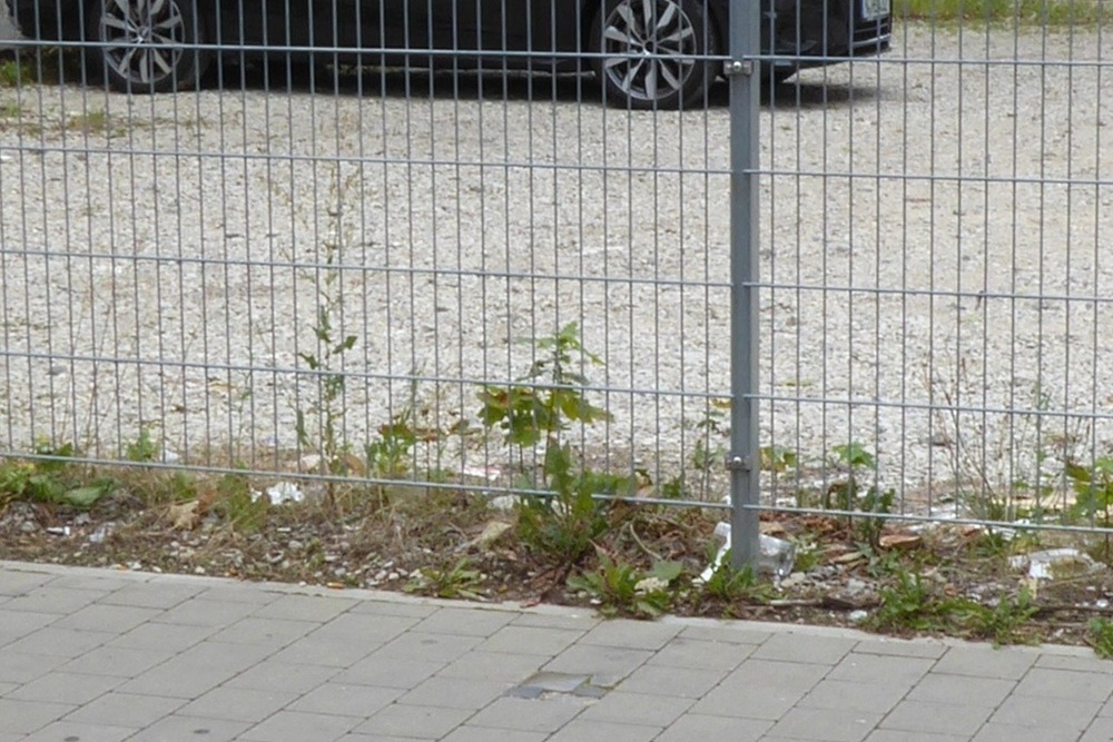 Stumbling Stone Kolpinggasse 42 #2