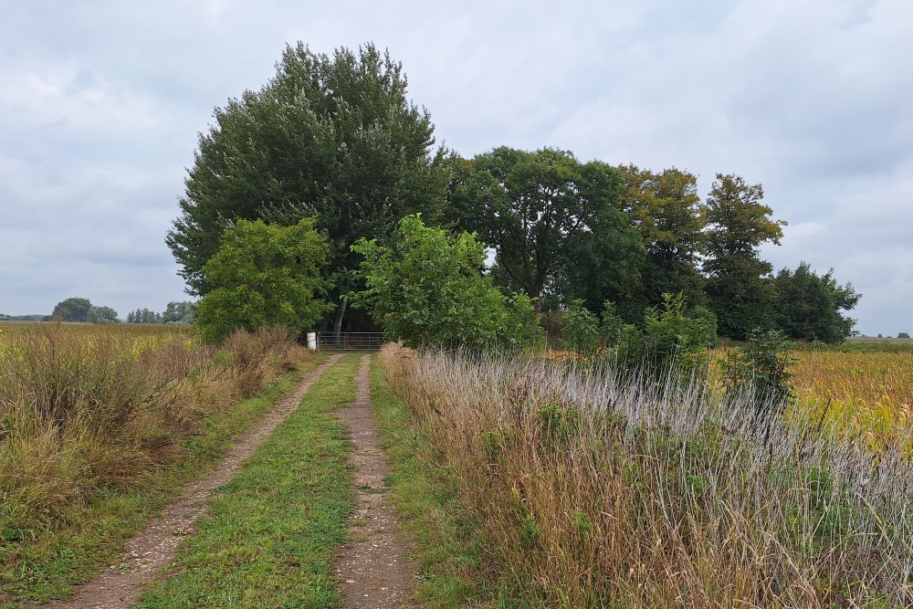 Farm 