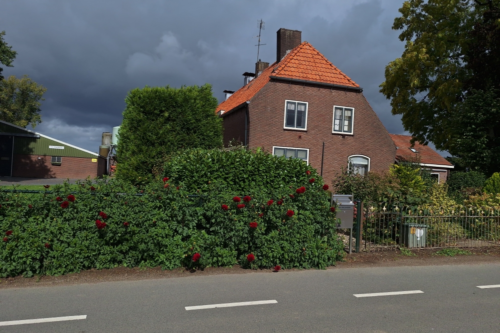 Horse Rescue Station 1-22 R.A. #2