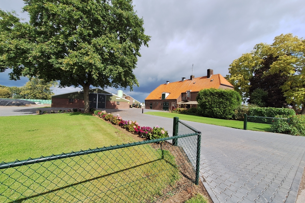 Horse Rescue Station 1-22 R.A. #4