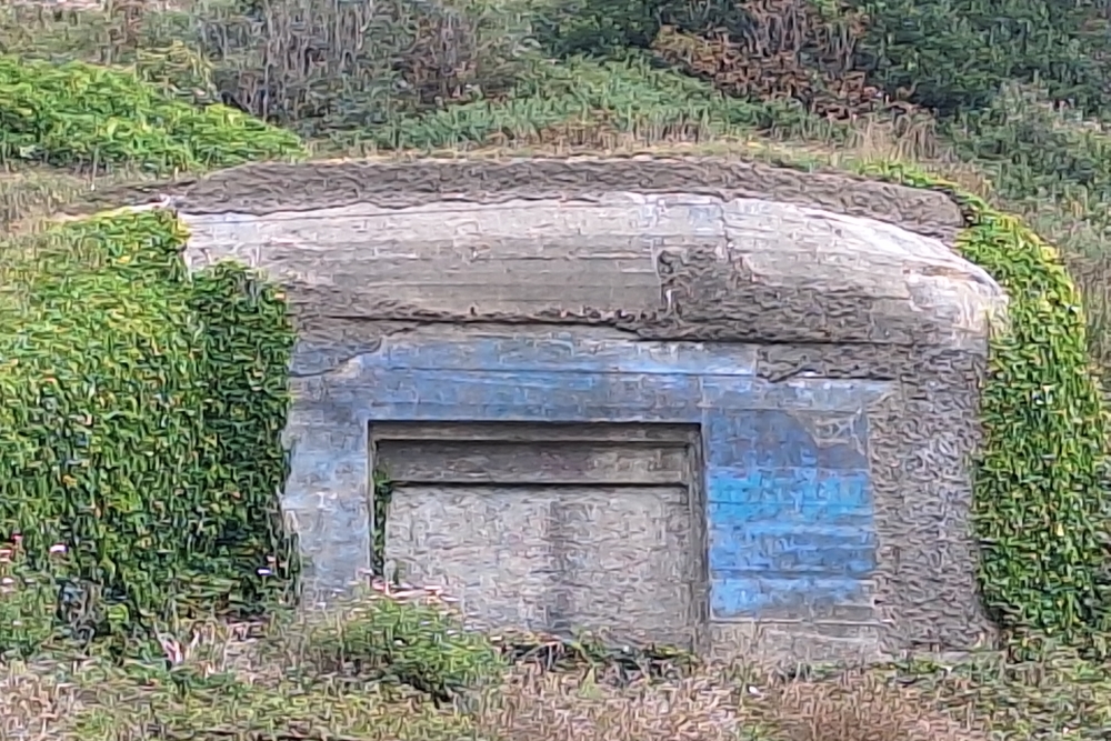 Duitse Bunkers Les Petites Dalles #2
