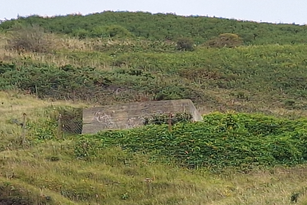 Duitse Bunkers Les Petites Dalles #3