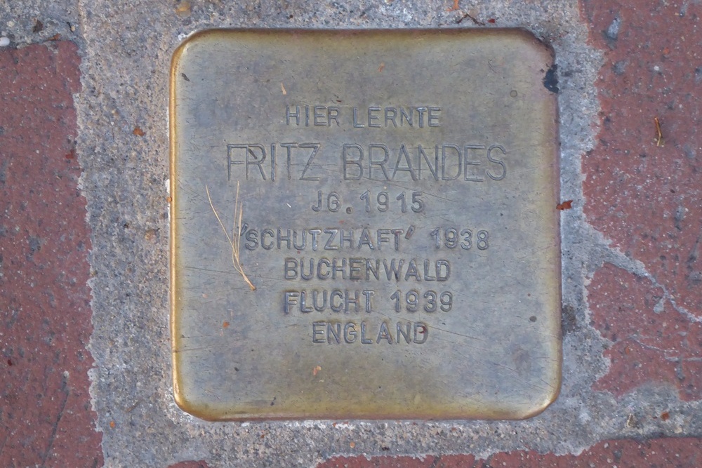 Stumbling Stones Franz-Ludwig-Strasse 13 #5