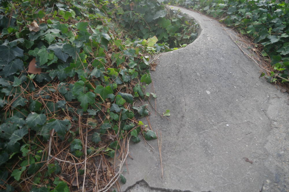 German Bunker Cap Ferret #3