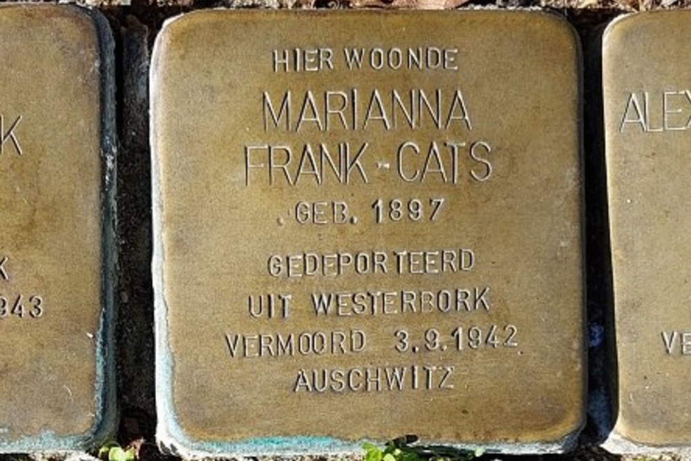 Stumbling Stones Boerhaavelaan 96 B-l #4