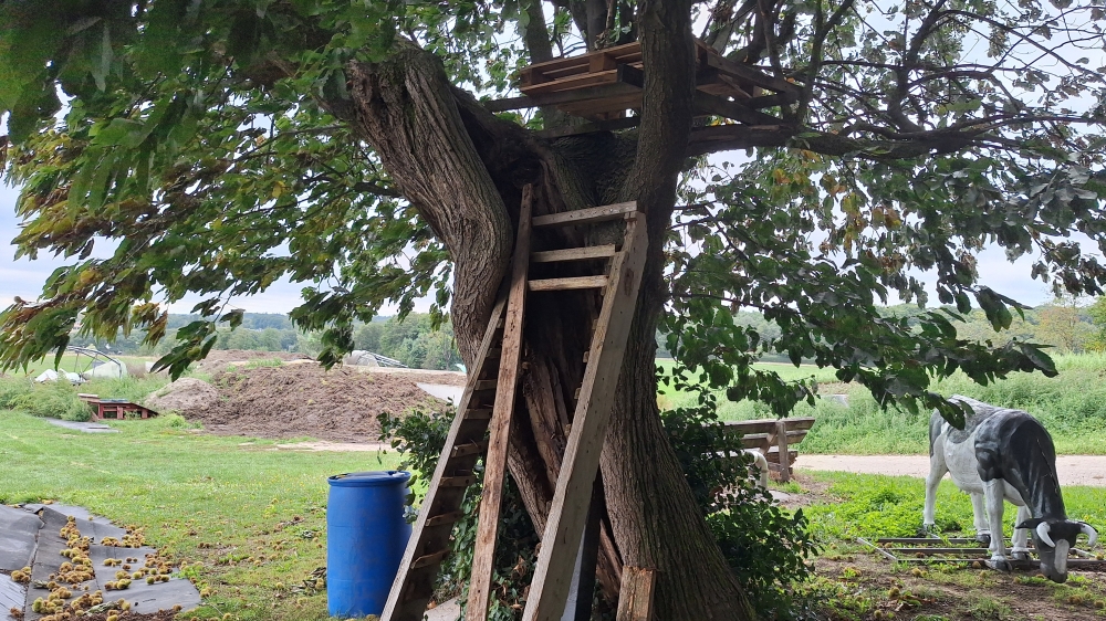 Tree of Horrocks #3