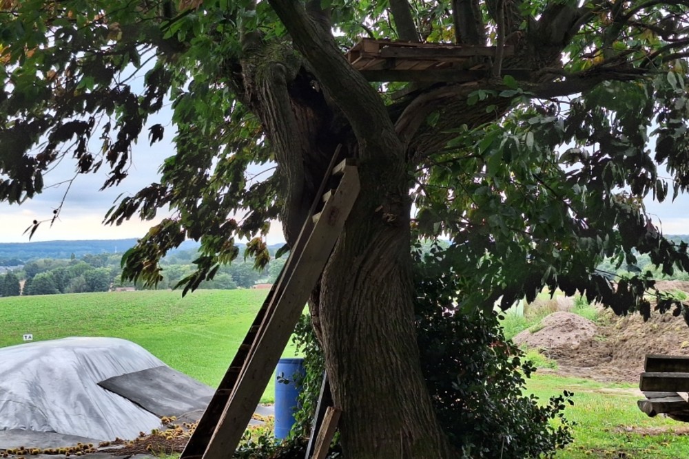 Tree of Horrocks