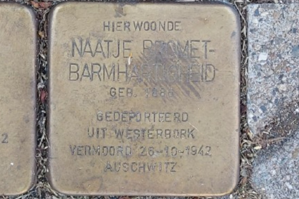 Stumbling Stones Singel 206a #7