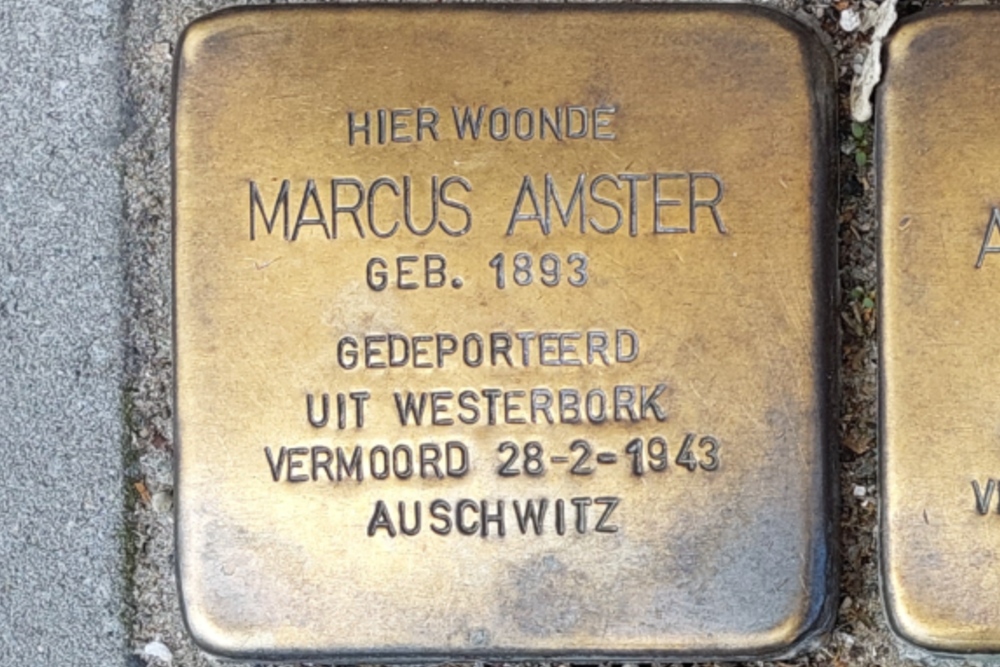 Stolpersteine Professor Kamerling Onneslaan 99a #3
