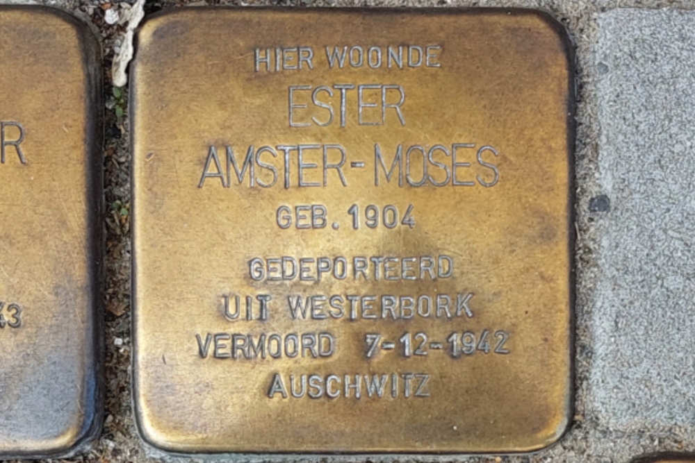Stolpersteine Professor Kamerling Onneslaan 99a #4