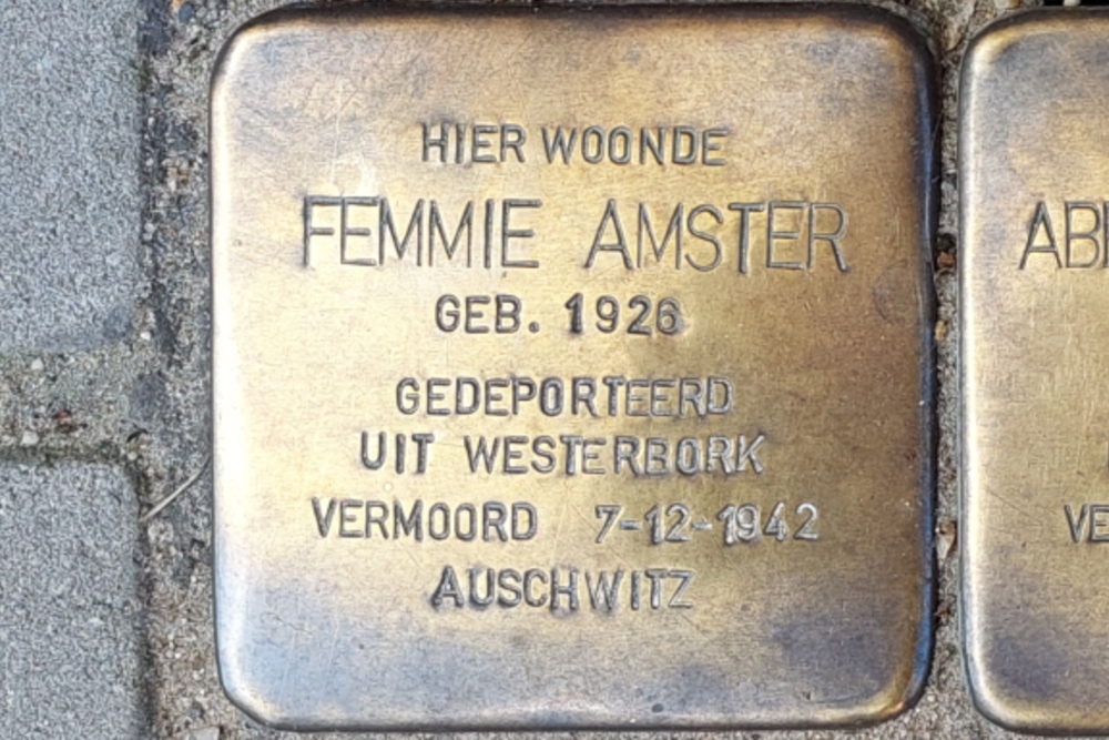 Stolpersteine Professor Kamerling Onneslaan 99a #5