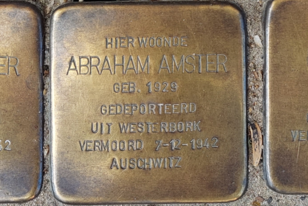 Stolpersteine Professor Kamerling Onneslaan 99a #6
