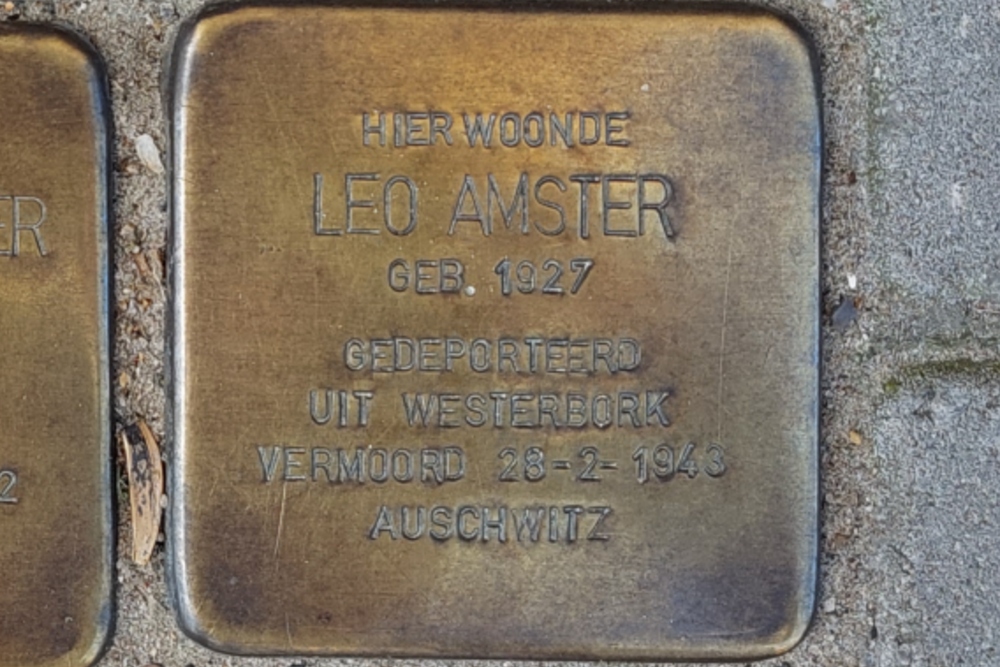 Stolpersteine Professor Kamerling Onneslaan 99a #7