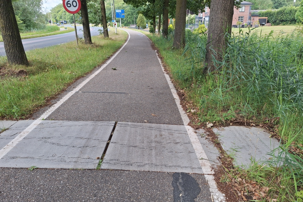 Landschapskunstwerk 
