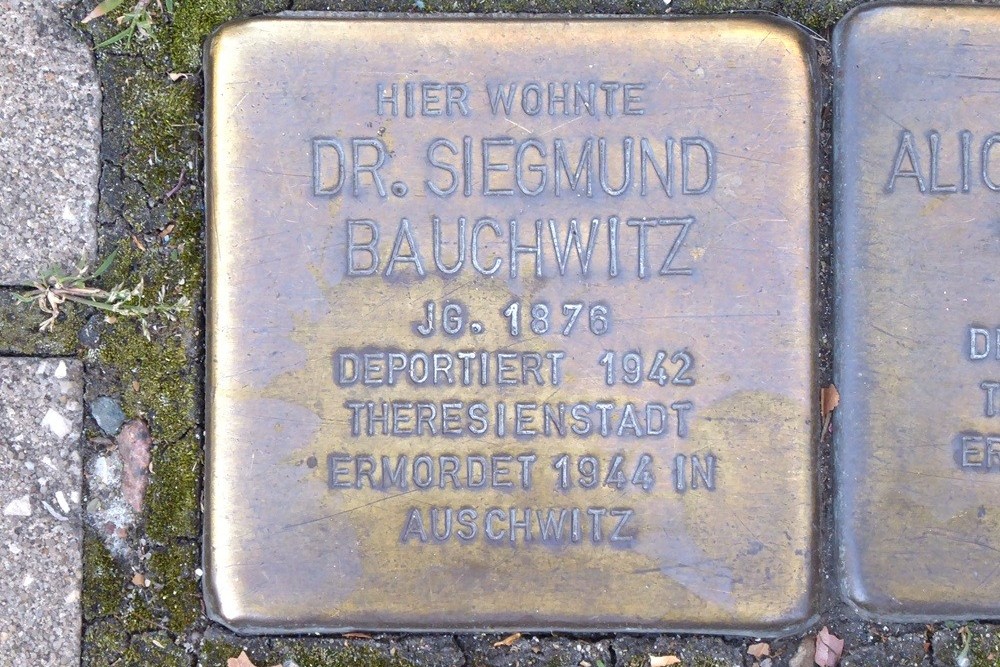 Stolpersteine Hainstraße 7 #4