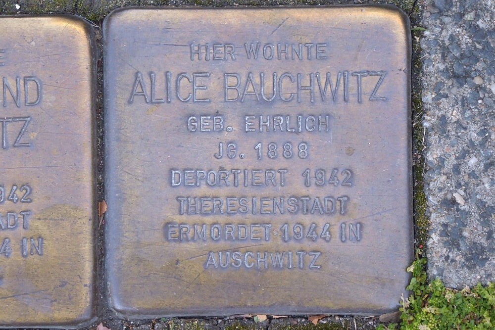 Stolpersteine Hainstraße 7 #5