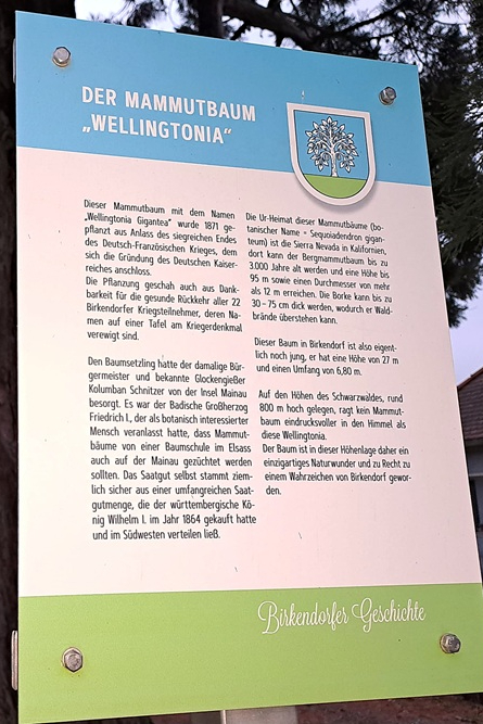 Memorial Birkendorf #3