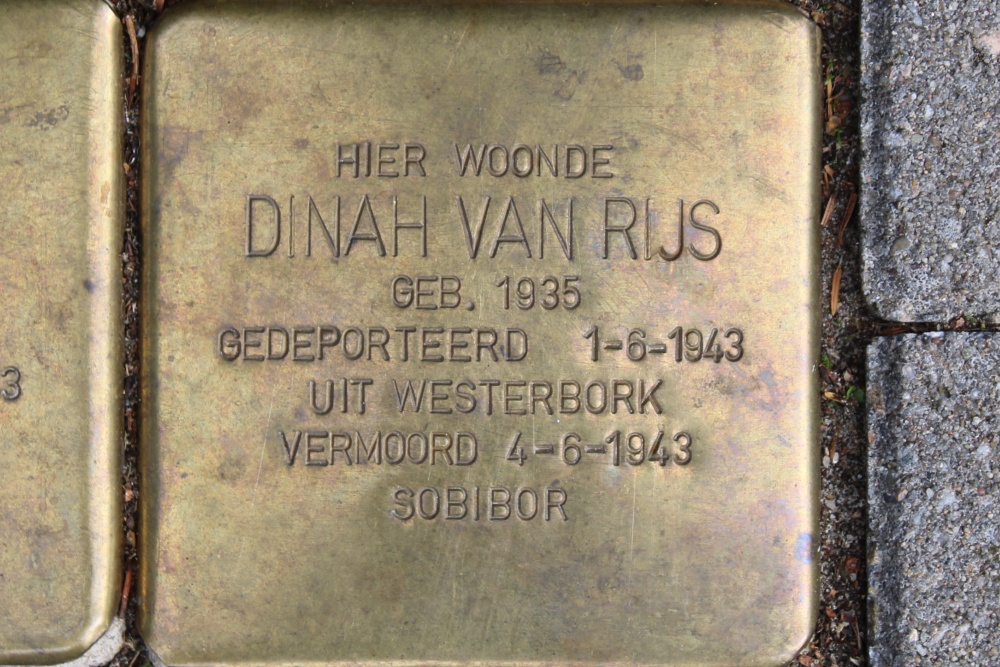 Sstumbling Stones Timorstraat 31 #5