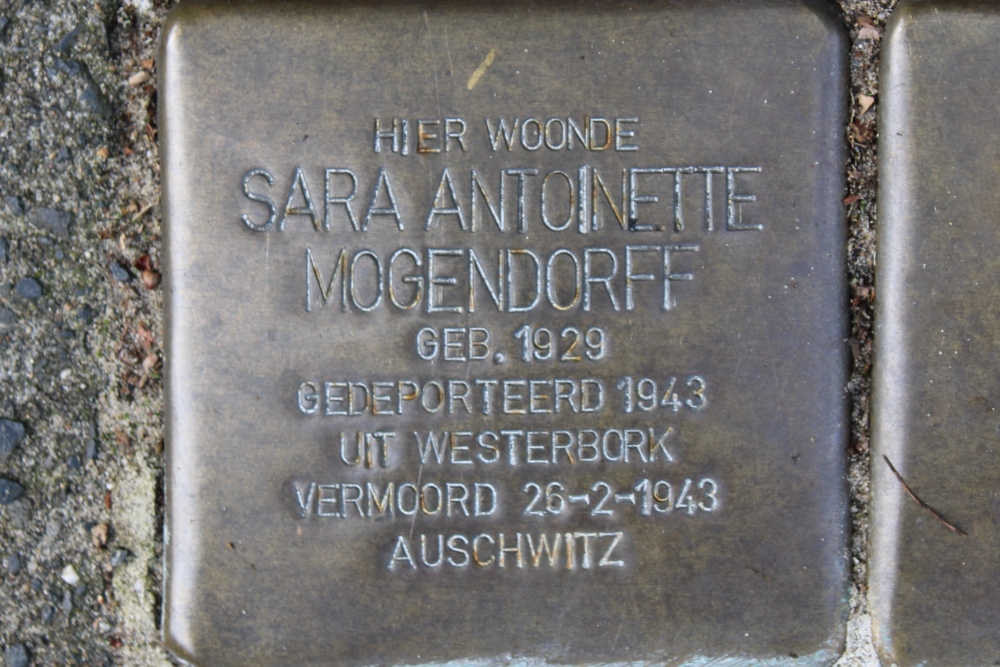 Sstumbling Stones Sweelinckplein 4 #4