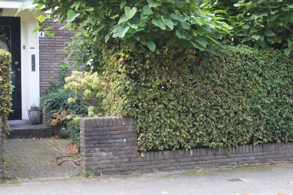 Sstumbling Stones Sweelinckplein 4 #6