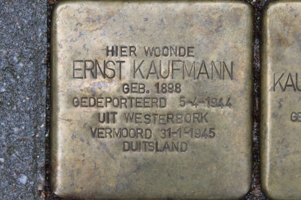 Sstumbling Stones Brederolaan 9 #3